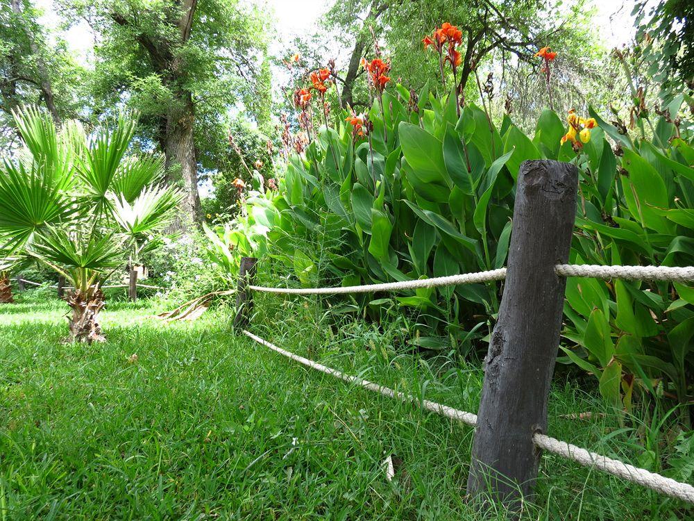 Hotel Rincon Del Montero à Parras de la Fuente Extérieur photo